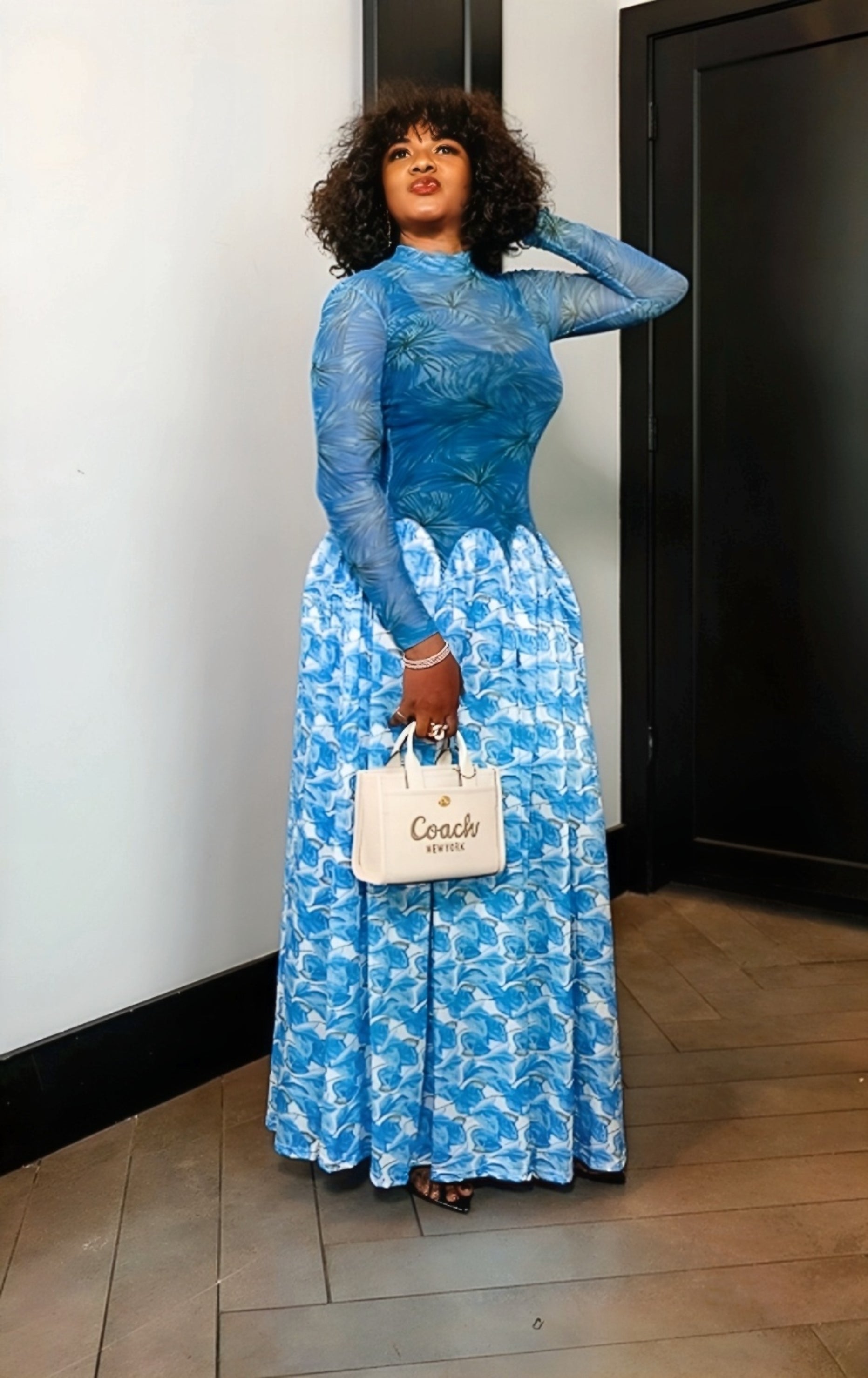 ZIVA Sheer High-Neck Dress