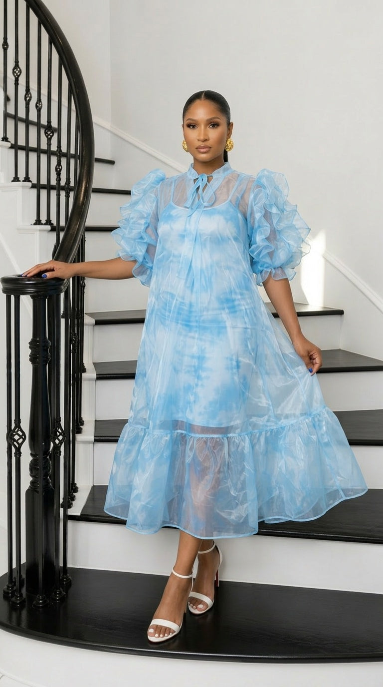 Aura Organza Dress