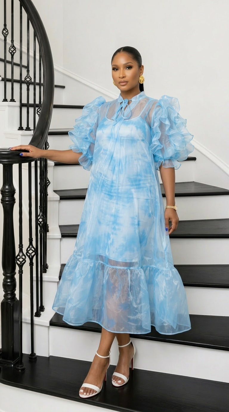 Aura Organza Dress