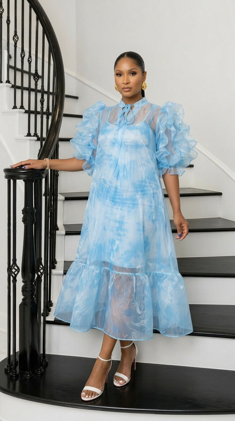 Aura Organza Dress