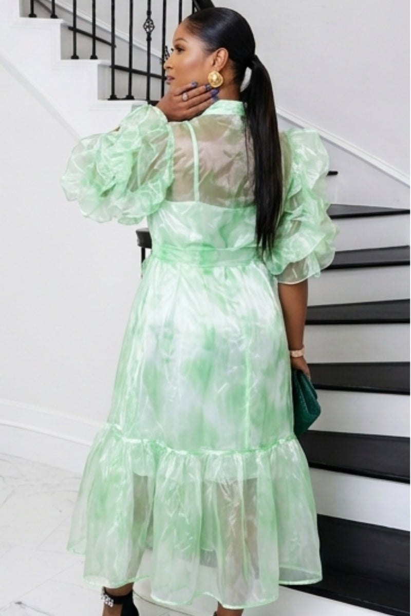 Aura Organza Dress