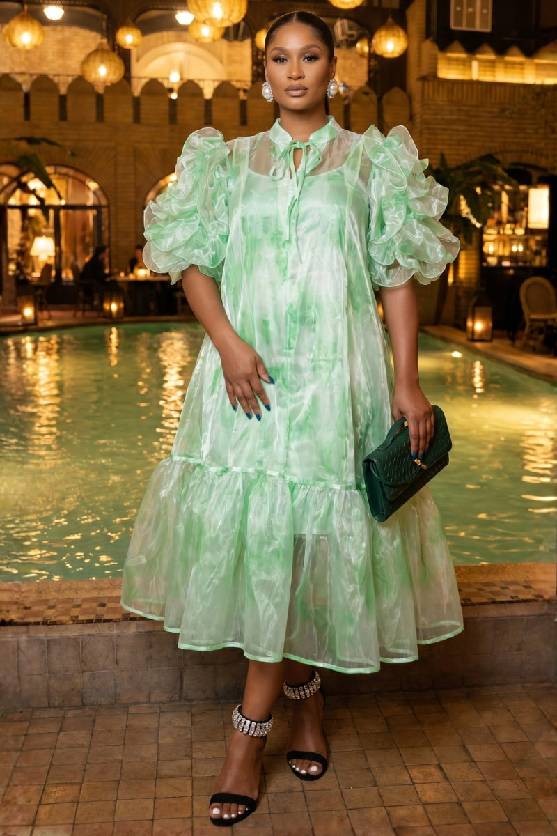 Aura Organza Dress