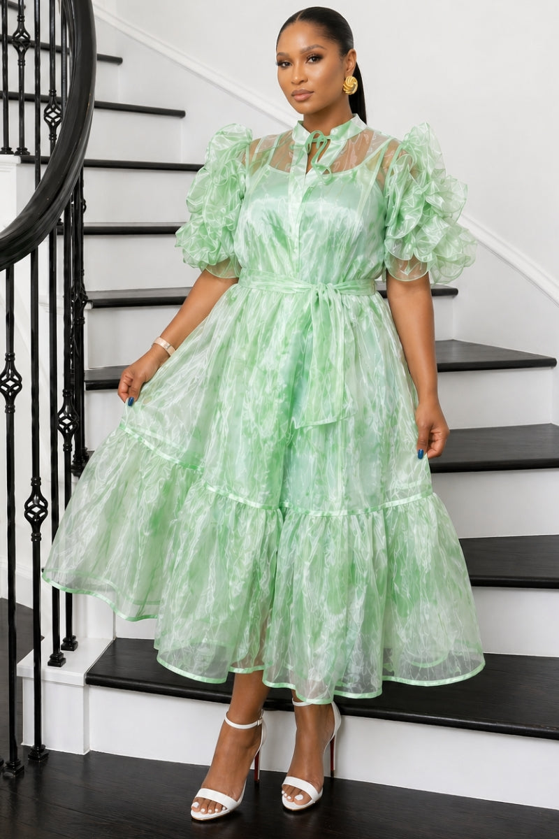 Aura Organza Dress