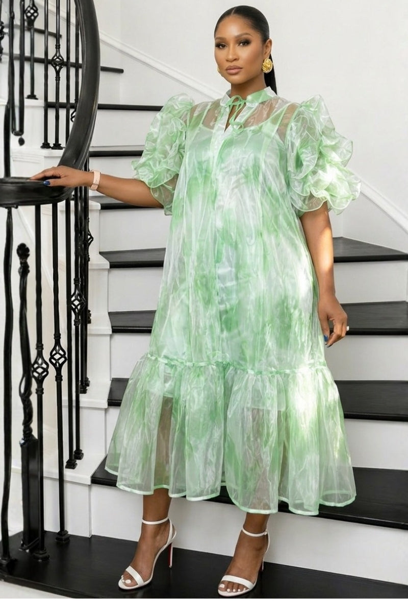 Aura Organza Dress