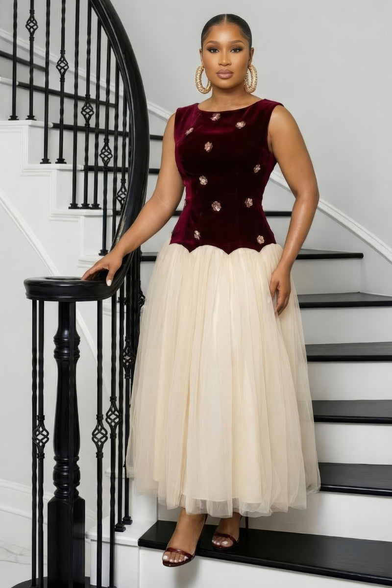 The Amara Velvet Tulle Dress